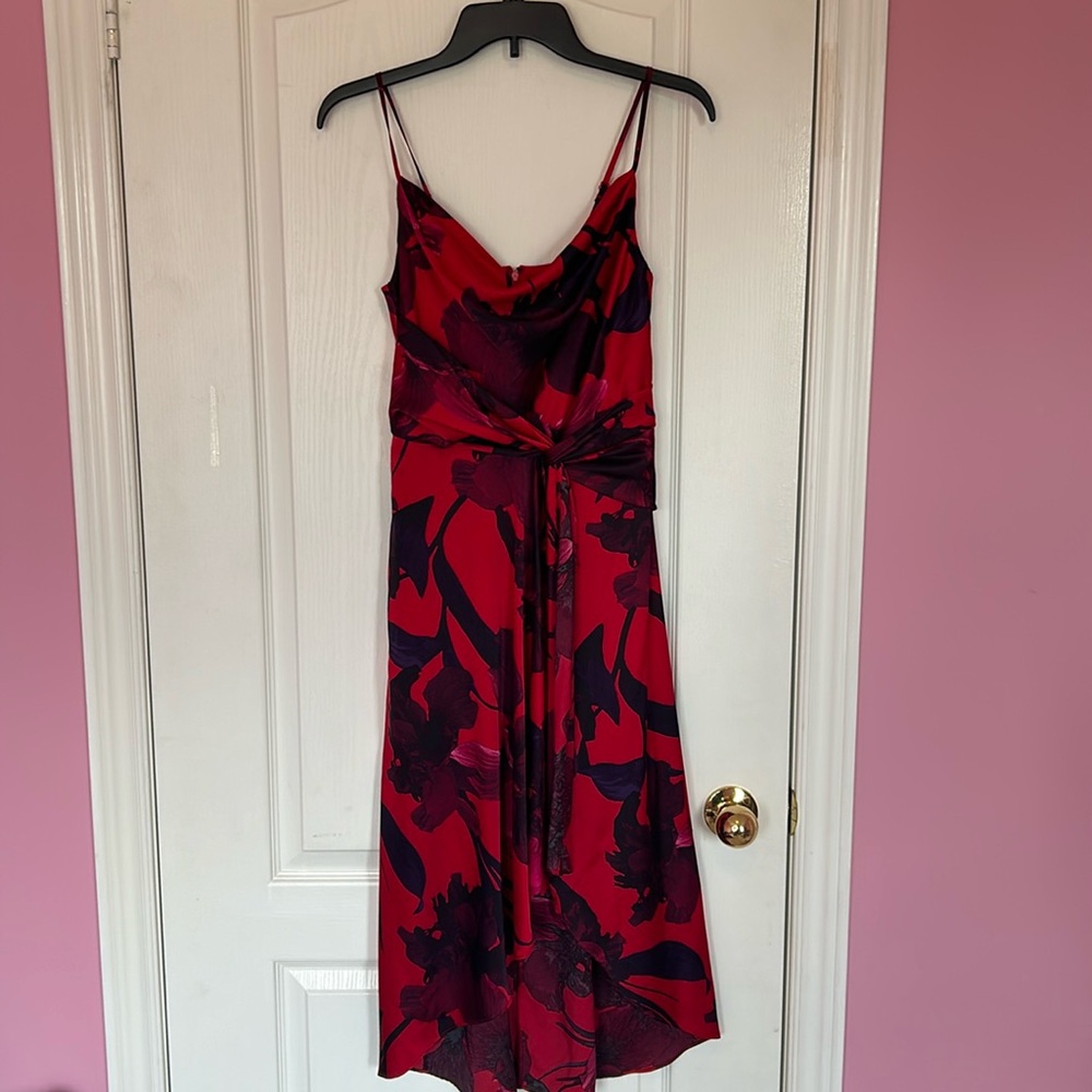 Stunning red and purple dress